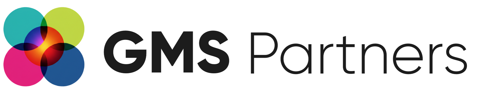 GMS Partners